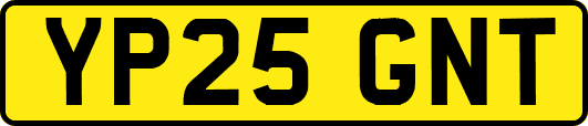 YP25GNT
