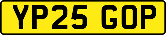 YP25GOP