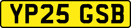 YP25GSB