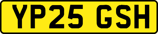 YP25GSH