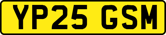 YP25GSM