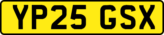 YP25GSX