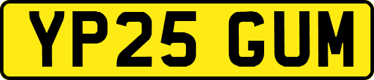 YP25GUM