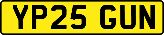 YP25GUN
