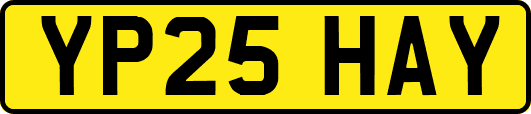 YP25HAY