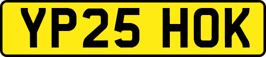 YP25HOK