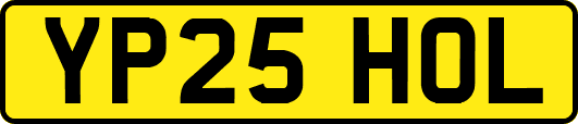 YP25HOL