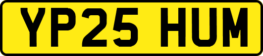 YP25HUM