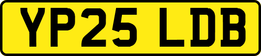 YP25LDB