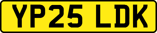 YP25LDK