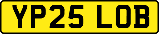 YP25LOB