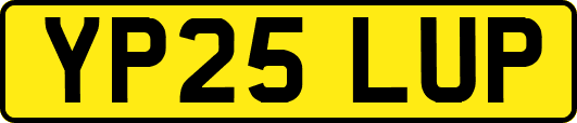YP25LUP