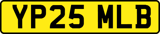 YP25MLB