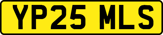 YP25MLS
