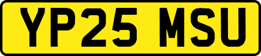 YP25MSU