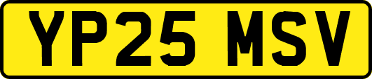 YP25MSV
