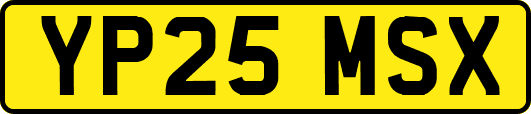 YP25MSX