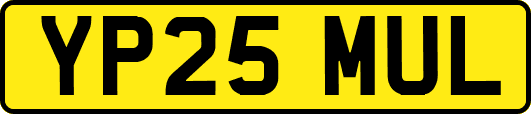 YP25MUL