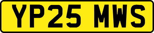YP25MWS