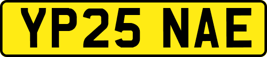 YP25NAE