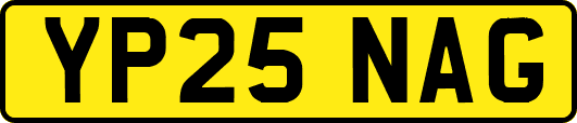 YP25NAG