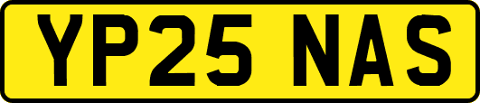 YP25NAS