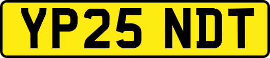 YP25NDT