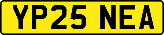 YP25NEA