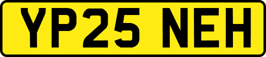 YP25NEH