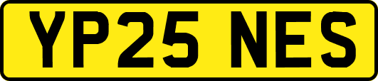 YP25NES
