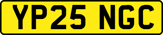 YP25NGC