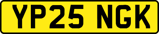 YP25NGK