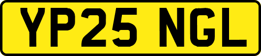 YP25NGL