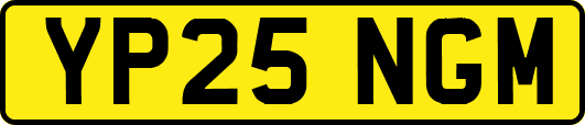 YP25NGM