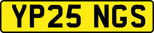 YP25NGS