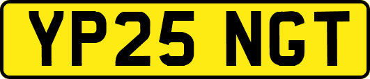 YP25NGT