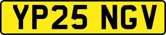YP25NGV