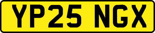 YP25NGX
