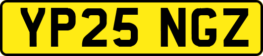 YP25NGZ