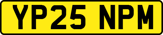 YP25NPM