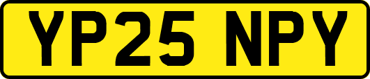 YP25NPY