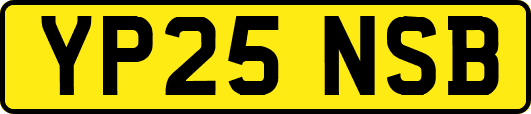 YP25NSB