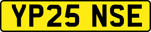 YP25NSE
