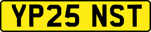 YP25NST