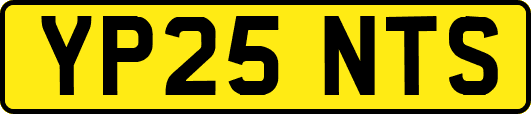 YP25NTS