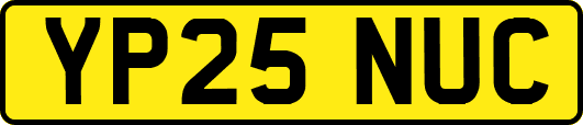 YP25NUC