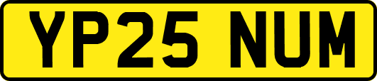 YP25NUM