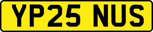 YP25NUS
