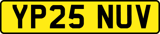 YP25NUV