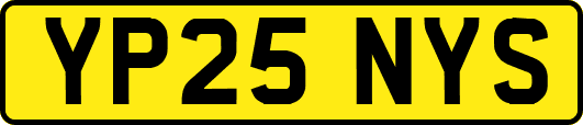 YP25NYS